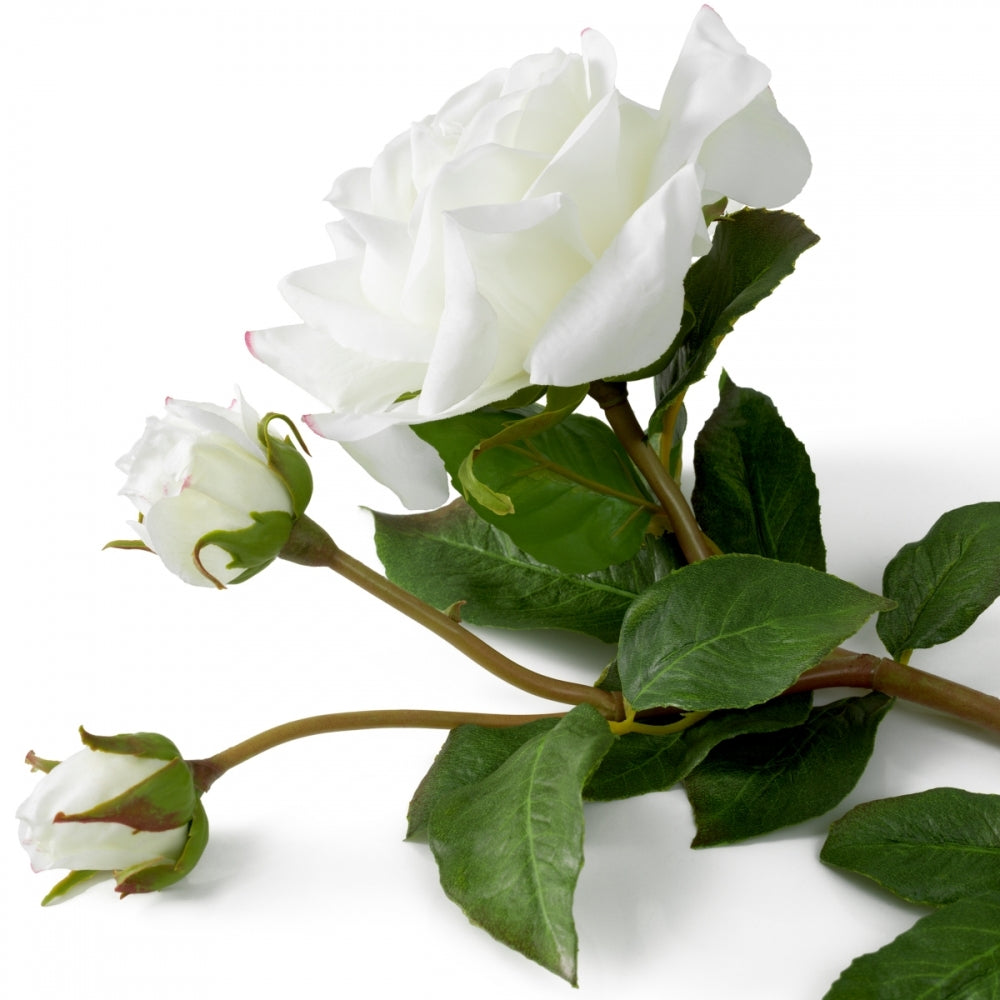 Bouquet of real touch Roses