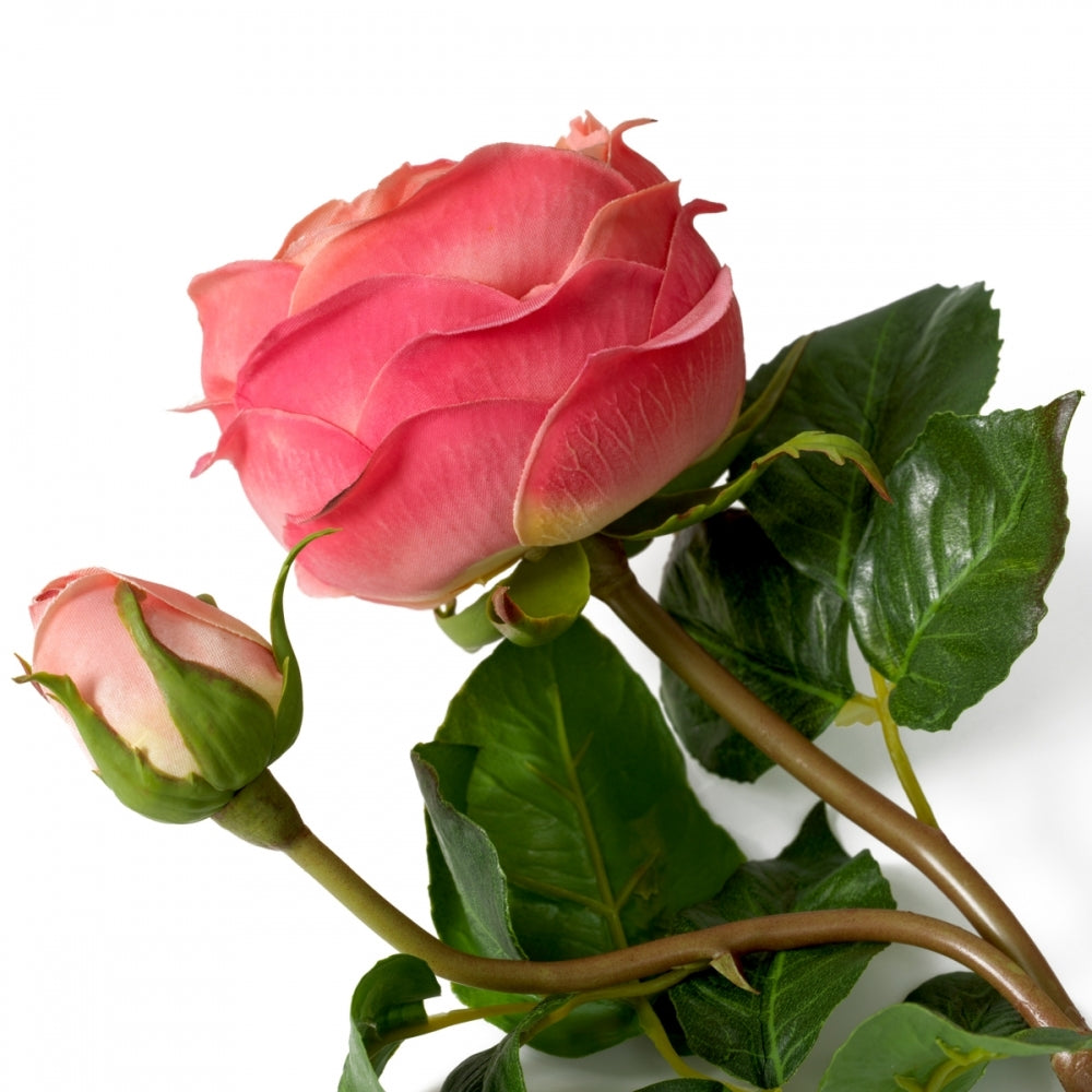 Bouquet of real touch Roses