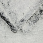 Rex Faux Fur Throw