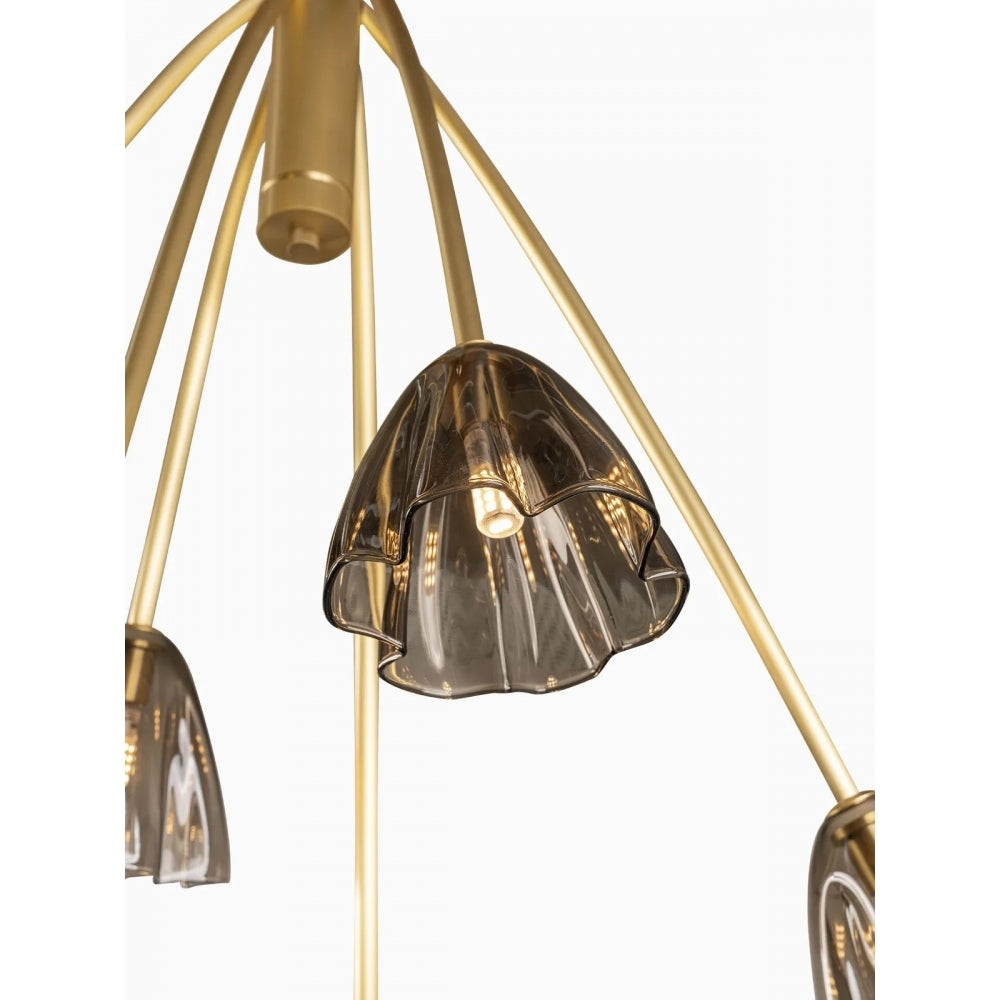 Belle Chandelier