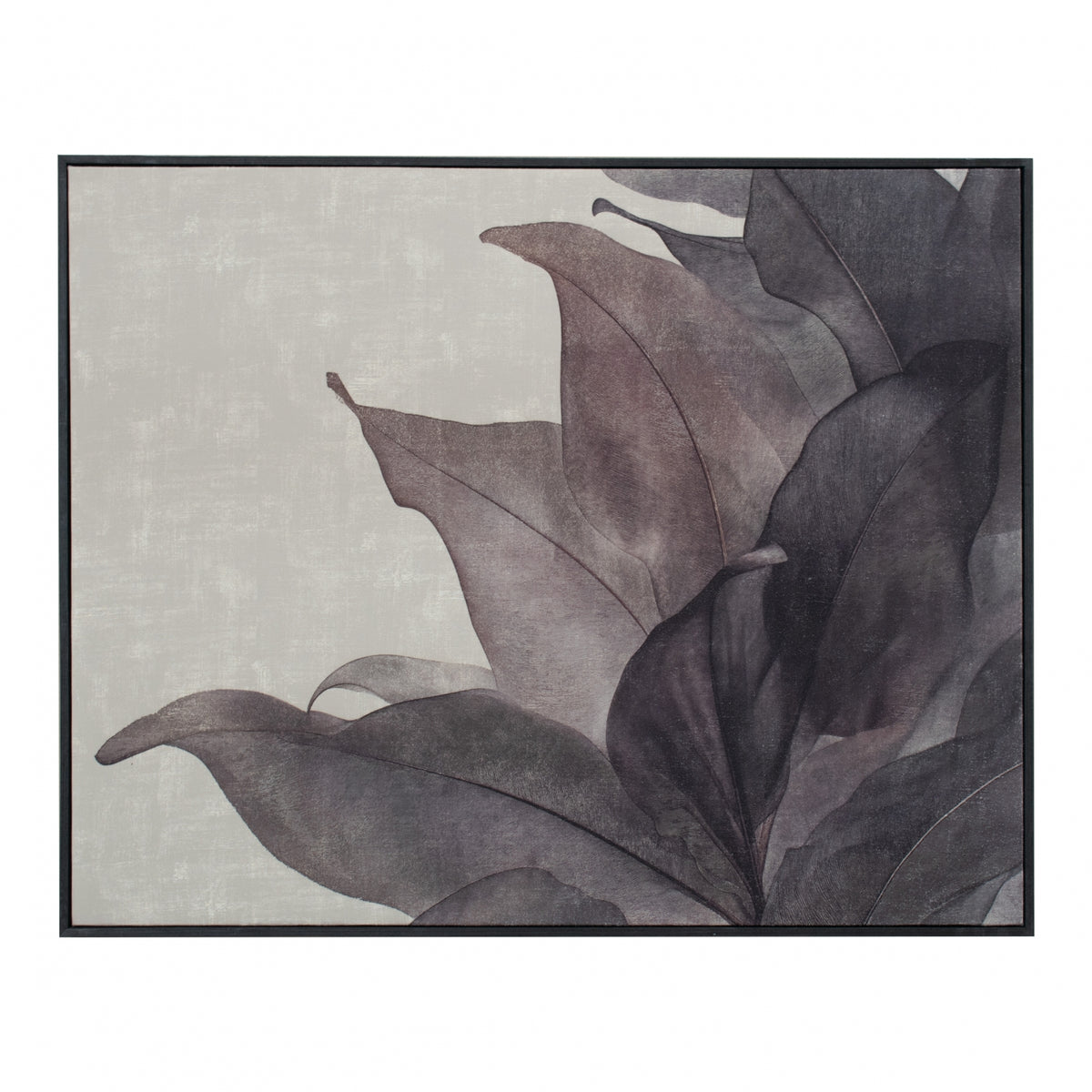 Happel Canvas