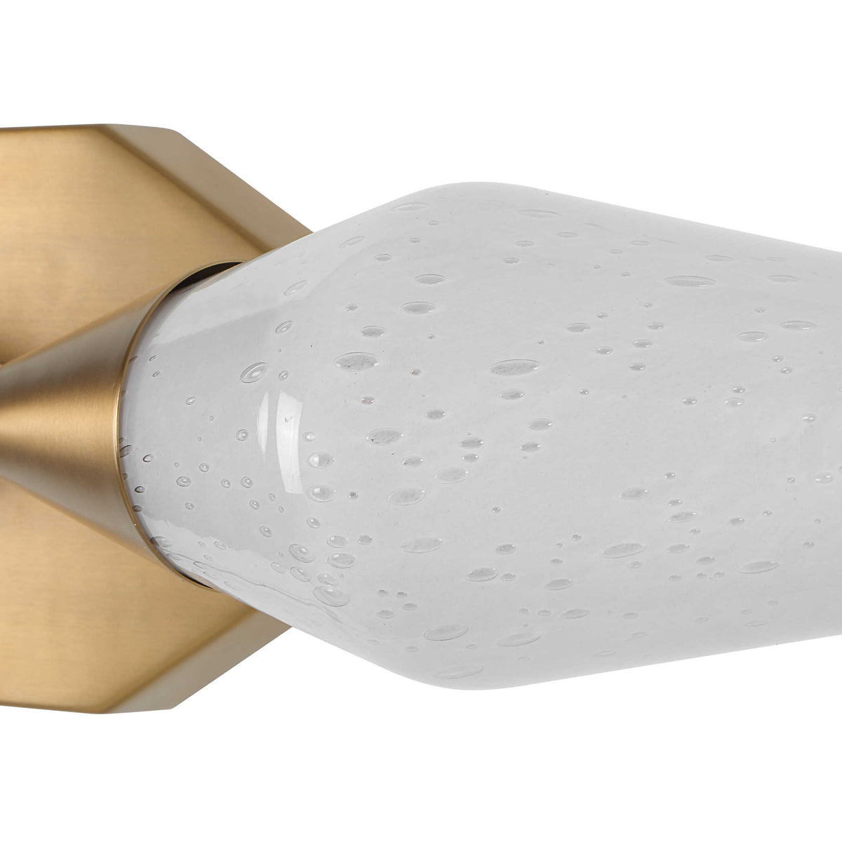 Agapanthus Wall Light